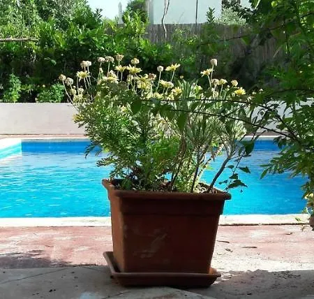 Bastianich Villa
